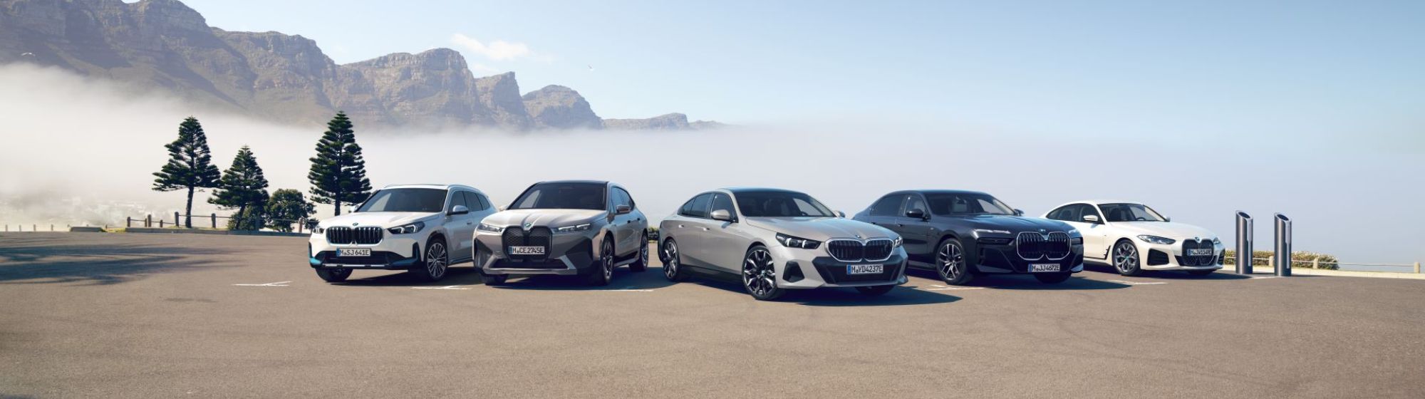 fleet of BMW vehicles