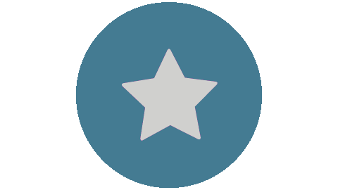 Star Icon