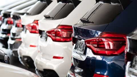 Rear of Cars Lined Up