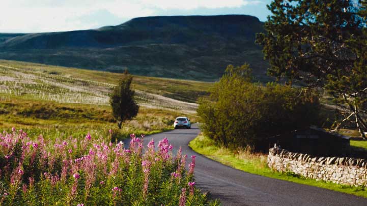 Car driving in the countryside